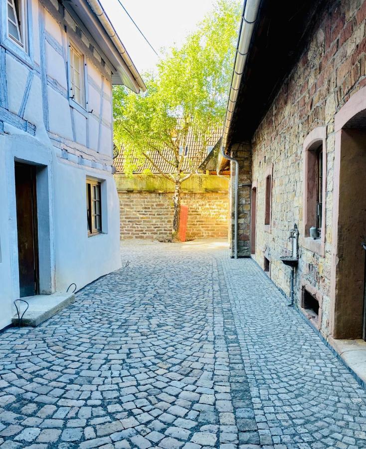Vintner Suites Neustadt an der Weinstraße Buitenkant foto