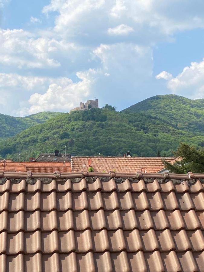Vintner Suites Neustadt an der Weinstraße Buitenkant foto